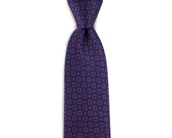 We Love Ties - Stropdassen - Stropdas Mr. Quadrangle - blauw / paars