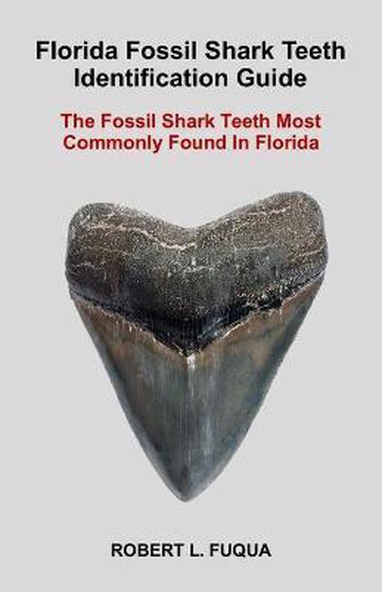 Florida Fossil Shark Teeth Identification Guide | 9798602488791