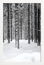 JUNIQE - Poster met houten lijst Deep Dark White Forest -13x18 /Grijs