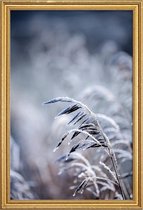 JUNIQE - Poster met houten lijst Frosty Morning 5 -20x30 /Blauw &