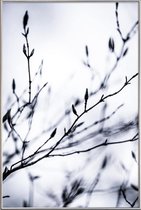 JUNIQE - Poster met kunststof lijst Winter Branches 2 -30x45 /Wit &