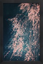 JUNIQE - Poster in houten lijst Whispers Of Dusty Pink -30x45 /Blauw &