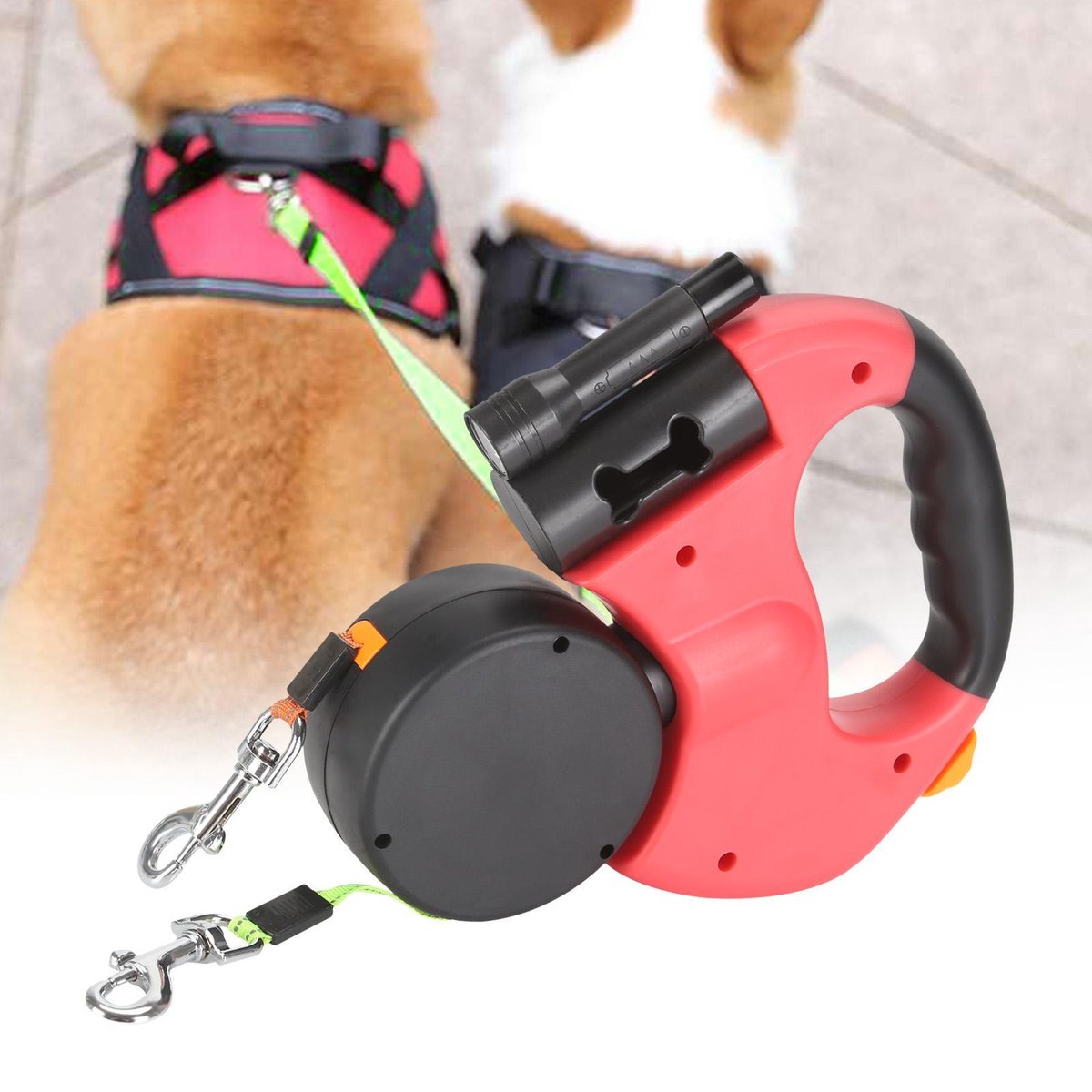 Hondenpension | Kattenpension - Dierenpension Tussenwijck in Beverwijk