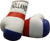 Mini Bokshandschoenen - voor de sier - Nederland