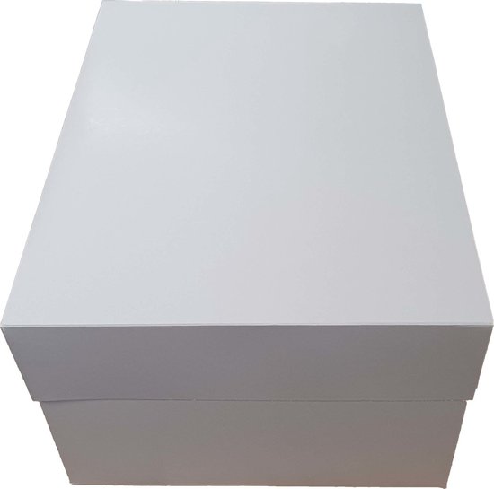 Boîte à gâteau rectangle avec plateau, 35 x 25 cm