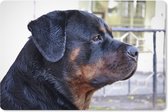 Muismat XXL - Bureau onderlegger - Bureau mat - Zijaanzicht van het hoofd van een Rottweiler - 90x60 cm - XXL muismat