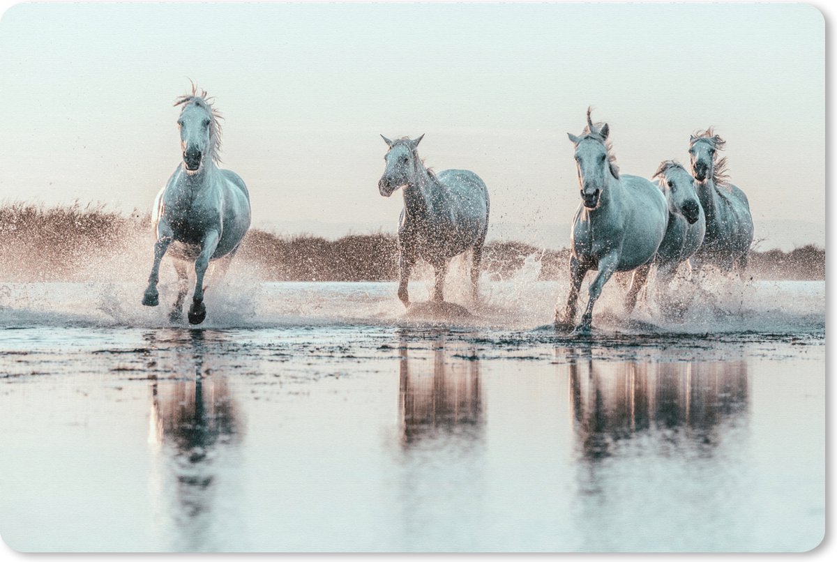 Muismat XXL 90x60 cm - Bureau onderlegger - Bureau mat Wilde witte paarden galopperen door het water in Camargue - Bureaumat - Gaming mousepad xl - Bureaulegger groot - Computer deskmat
