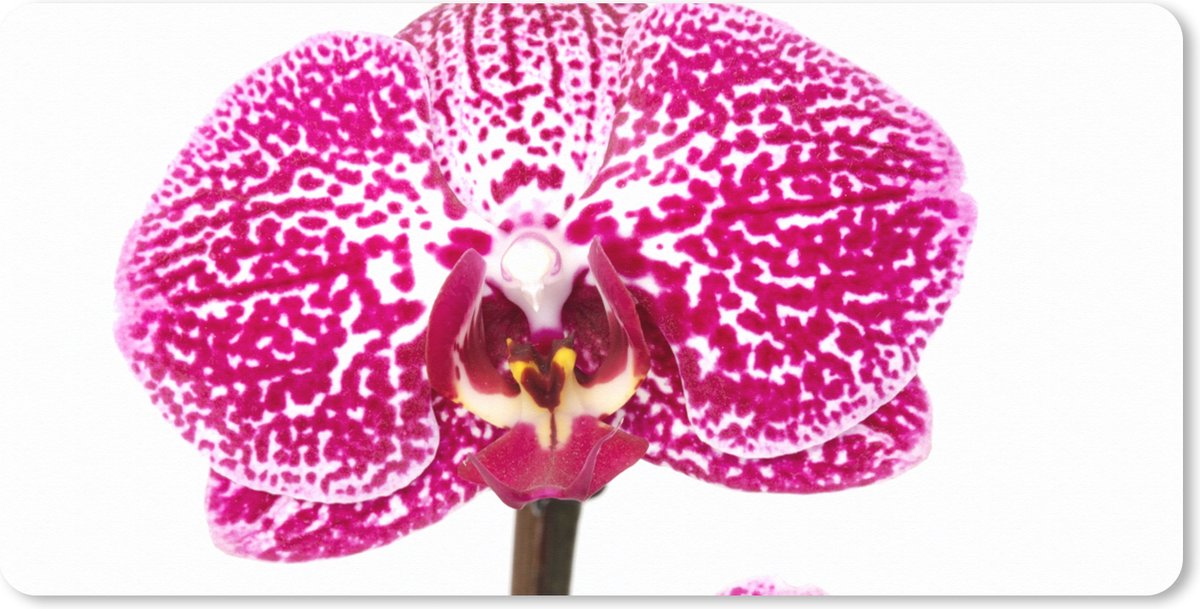 Muismat XXL 90x45 cm - Bureau onderlegger - Bureau mat Orchidee roze - Bureaumat - Gaming mousepad xl - Bureaulegger groot - Computer deskmat