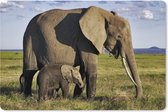 Muismat XXL - Bureau onderlegger - Bureau mat - Olifant - Dieren - Grasvlakte - Groen - Grijs - 90x60 cm - XXL muismat