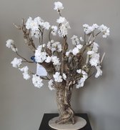 Seta Fiori - Bonsai Kersen Bloesem - Kunstplant - 55cm - Wit - Kerselaar