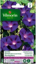 Vilmorin - Ipomea (Klimmende Winde) Morning Glory - Volubilis Paars - V417
