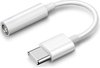 Usb C naar 3,5 mm Adapter 0,1 m - Jack - Aux