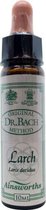 Ainsworths Larch Bach Flower Remedy - 10 ml - Etherische Olie