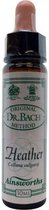 Ainsworths Heather Bach Flower Remedy - 10 ml - Etherische Olie