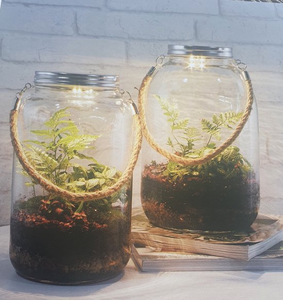 Glazen pot met licht geschikt voor miniatuur tuintje | bol.com
