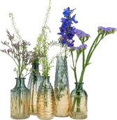 QUVIO Vases en Verres - Set de 5 - Vases pour fleurs séchées - Vases pour vraies fleurs - Vases rétro - Accessoires de maison pour la maison pour fleurs et bouquets - Décoration d'intérieur - Glas - Jaune / Blauw
