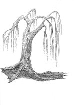 Kunstkaart bomen 05 - wenskaart - zwart - wit
