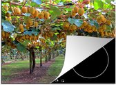 KitchenYeah® Inductie beschermer 77x59 cm - Kiwi - Boom - Fruit - Kookplaataccessoires - Afdekplaat voor kookplaat - Inductiebeschermer - Inductiemat - Inductieplaat mat