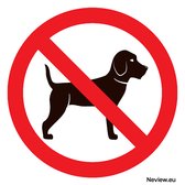 Sticker "Interdit aux chiens" - Pour intérieur & extérieur - Carré - 10x10 cm