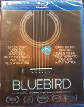 Bluebird: An Accidental Landmark That Changed History