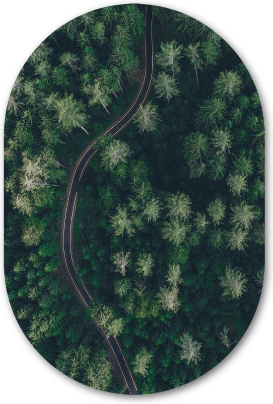 Muurovaal The Green Road - WallCatcher | Aluminium 40x60 cm | Ovalen schilderij | Wandovaal De groene bosweg op Dibond