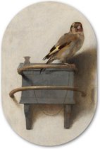Muurovaal Het Puttertje - WallCatcher | Acrylglas 100x150 cm | Ovalen schilderij | Wandovaal Bekend Meesterwerk van Carel Fabritius