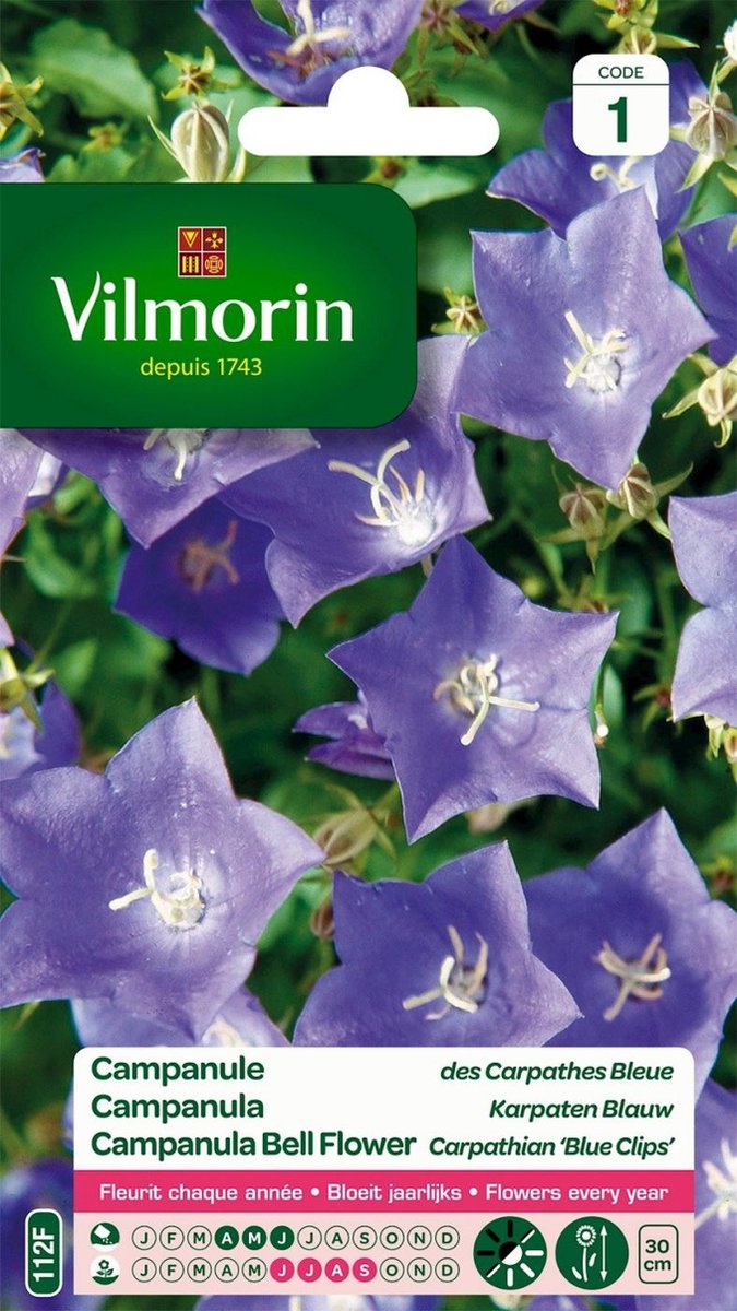 Vilmorin- Campanula- Karpaten blauw- V112