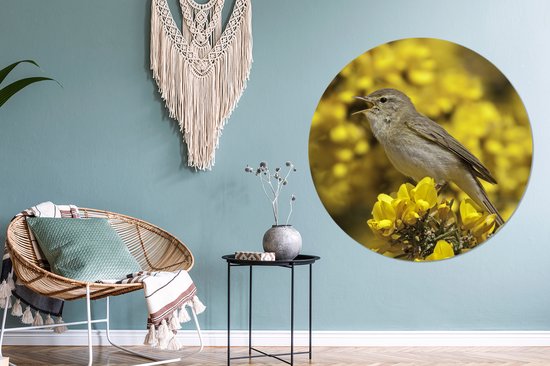 Fitis sur fleurs jaunes Assiette en plastique cercle mural ⌀ 120 cm - impression photo sur cercle mural / cercle vivant (décoration murale) XXL / Groot format!