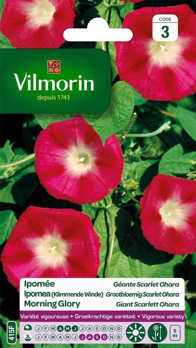Vilmorin- Ipomea- Grootbloemig Scarlet Ohara V415