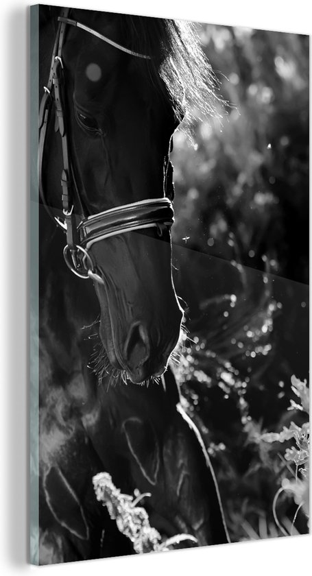 Peinture sur verre Portrait photo cheval noir au soleil noir