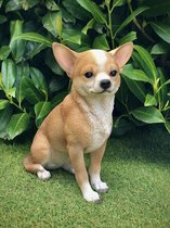 Chihuahua blond 23 cm hoog - hond - dog - polyester - polystone - beeld - tuinbeeld - hoogkwalitatieve kunststof - decoratiefiguur - interieur - accessoire - voor binnen - voor buiten - cadeau - geschenk