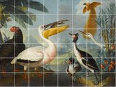 IXXI Exotic Birds - Wanddecoratie - Dieren en insecten - 160 x 120 cm