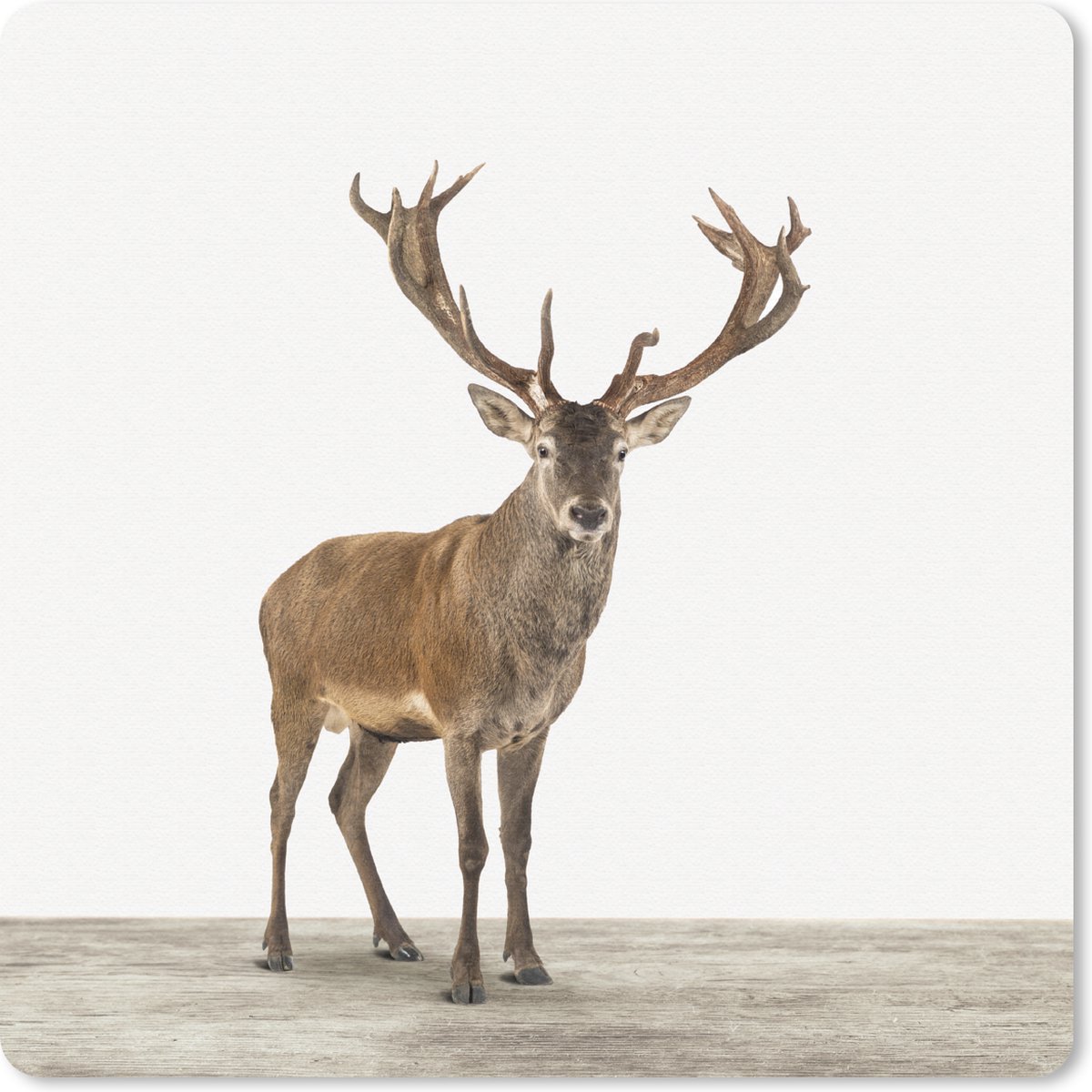 Muismat 30x30 cm - Mousepad Hert - Dieren - Gewei - Kinderen - Meisjes - Jongens - Muismatten