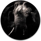 Tuincirkel Olifant portret - WallCatcher | Tuinposter rond 140 cm | Buiten muurcirkel Elephant