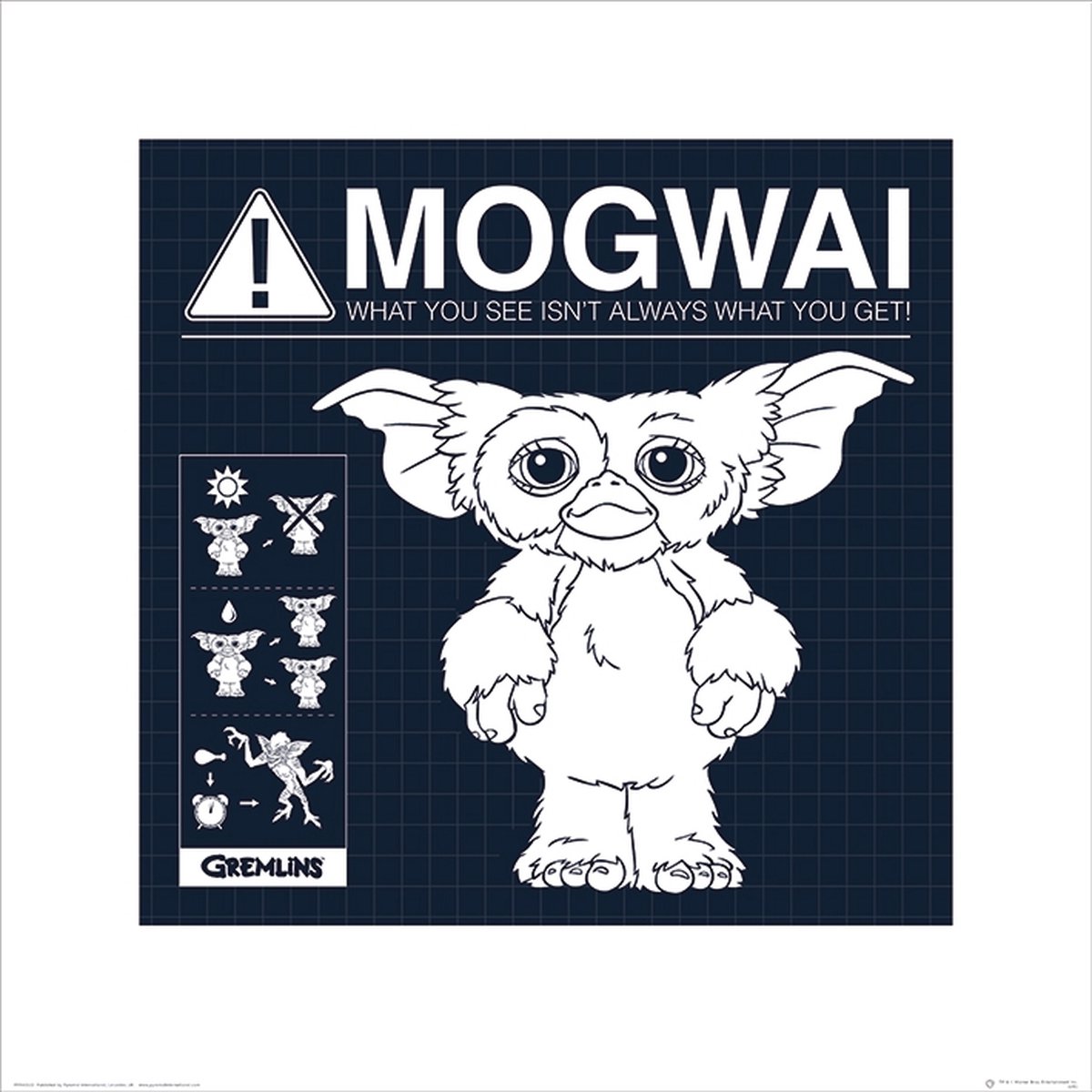 Pyramid Gremlins Mogwai Rules Art Print 40x40cm | Poster Multi color