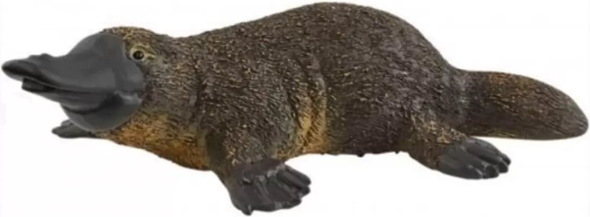 schleich WILD LIFE - Vogelbekdier - 14840 — afbeelding 2