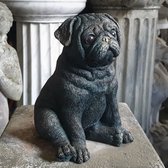 Decoratief beeld - Franse bulldog / mopshond - zittend - hond