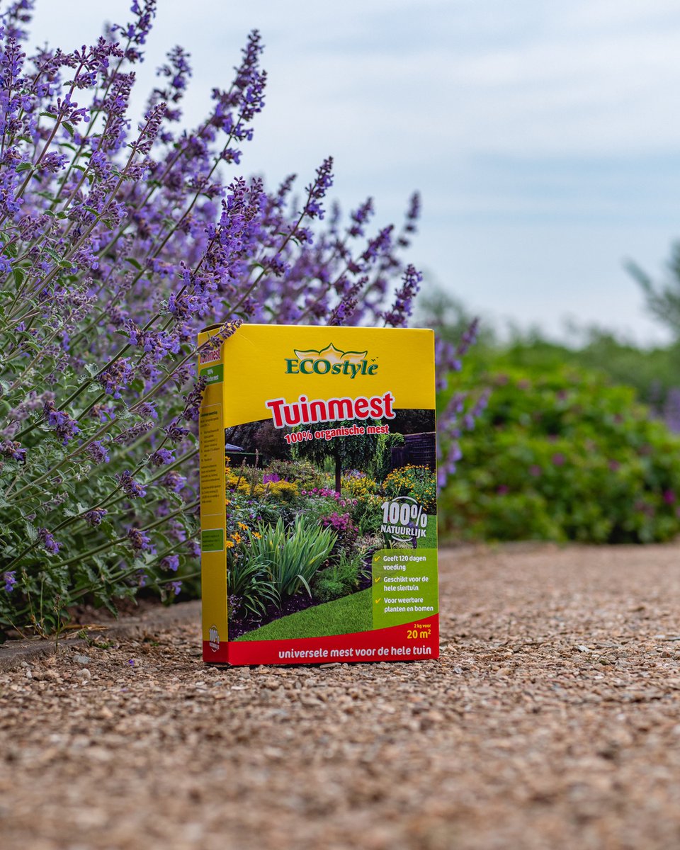 Hoe maak je zelf een natuurlijke meststof voor kamerplanten? - Beste