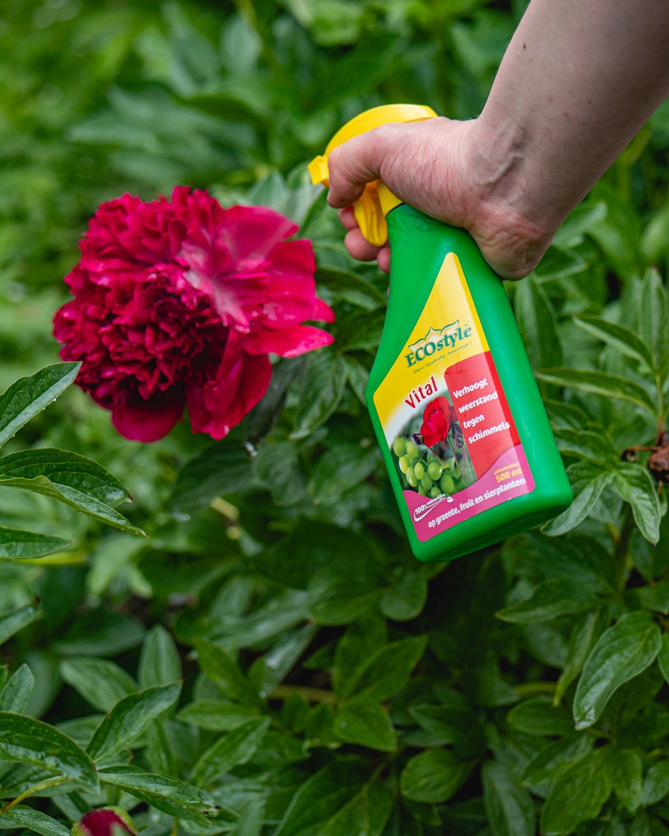 ECOstyle Vital Spray Weerstand verhogende Plantenvoeding - Voorkomt Schimmels - Groente-, Fruit-, en Sierplanten - 500 ML
