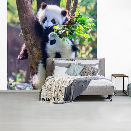 Papier peint - Papier peint photo Pandas - Arbre - Nature - Largeur 300 cm x hauteur 300 cm