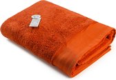 ARTG® Towelzz - DeLuxe - Strandhanddoek - 100 x 180 cm - 700 grams - Steenrood - Brick Red