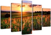 Trend24 - Canvas Schilderij - Zonsondergang Over Een Weide - Vijfluik - Bloemen - 100x70x2 cm - Oranje