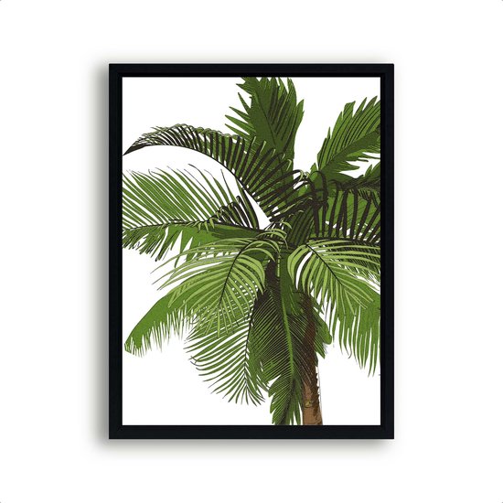 Poster Tropische palmboom / Planten / Bladeren / 80x60cm