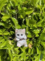 Animal à suspendre en polyrésine "chat" - gris - hauteur 15x10x8 cm - corde à suspendre - Pour intérieur ou extérieur - Accessoires jardin - Accessoires de maison maison