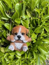 Polyresin hangend (tuin) dier "hond" - donker bruin + wit - hoogte 15x10x8 cm - ophangtouw - Voor binnen of buiten - Tuinaccessoires - Woonaccessoires