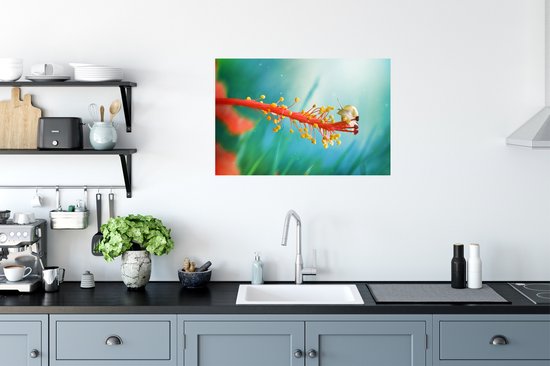 Escargot sur papier affiche fleur colorée 90x60 cm - Tirage photo sur affiche (décoration murale salon / chambre)