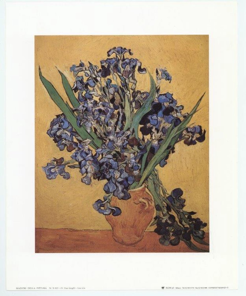 Catch Projecten Mini kunstposter - Irissen - Vincent van Gogh - 24x30 cm Multicolor