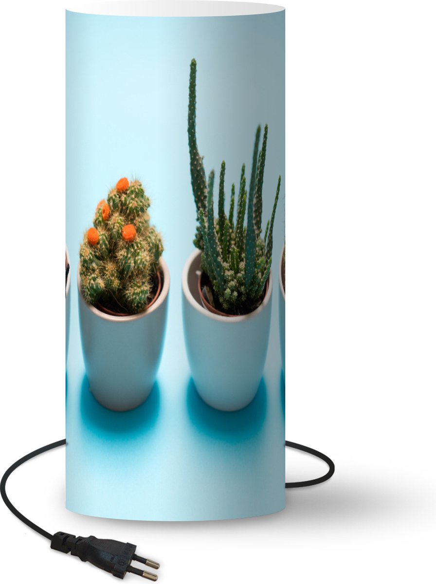 Lamp - Nachtlampje - Tafellamp slaapkamer - Cactus in vermomming - 70 cm hoog - Ø29.6 cm - Inclusief LED lamp