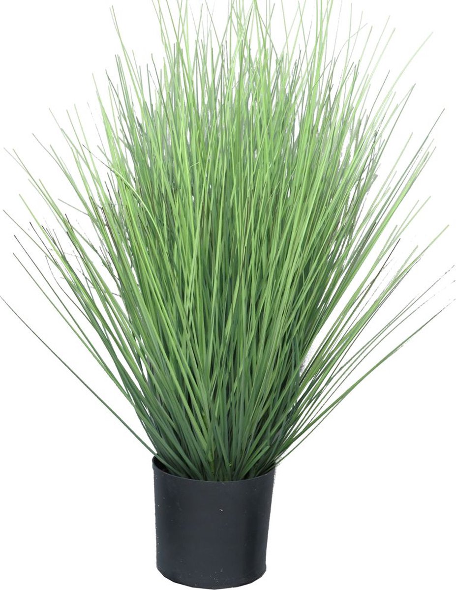 SENSE Kunstgras Groen - Festuca - Grasplant in Pot - Terras & Tuinplanten