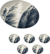 Onderzetters voor glazen - Rond - Pampasgras - Zwart - Wit - Natuur - 10x10 cm - Glasonderzetters - 6 stuks